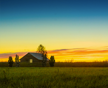 House in field.