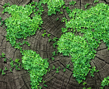Leafy green map